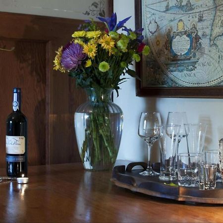 Harfield Guest Villa Cape Town Bagian luar foto