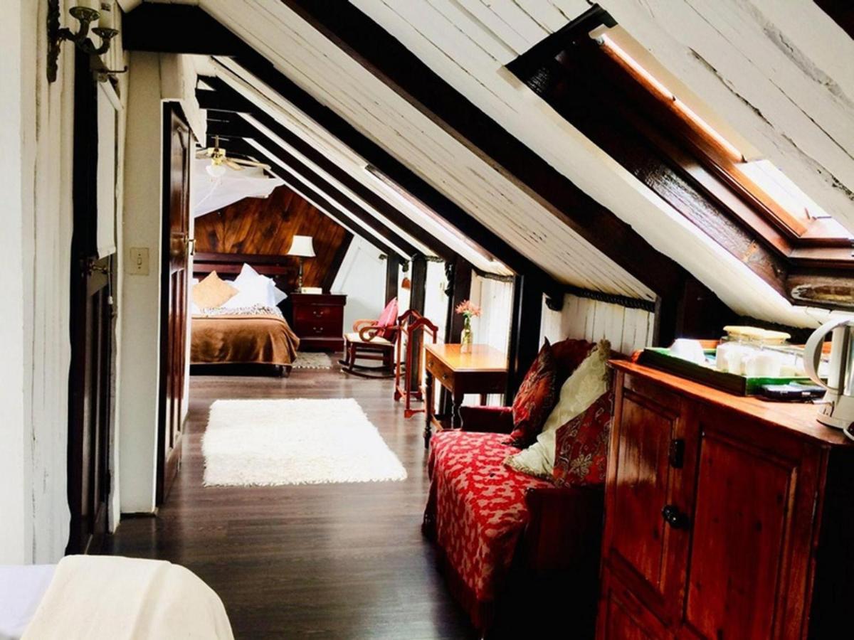 Harfield Guest Villa Cape Town Bagian luar foto