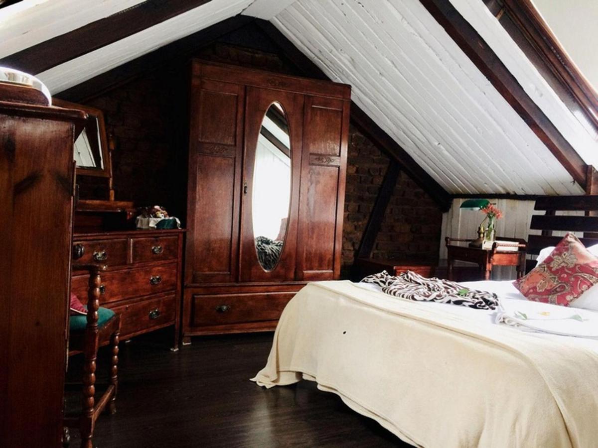 Harfield Guest Villa Cape Town Bagian luar foto