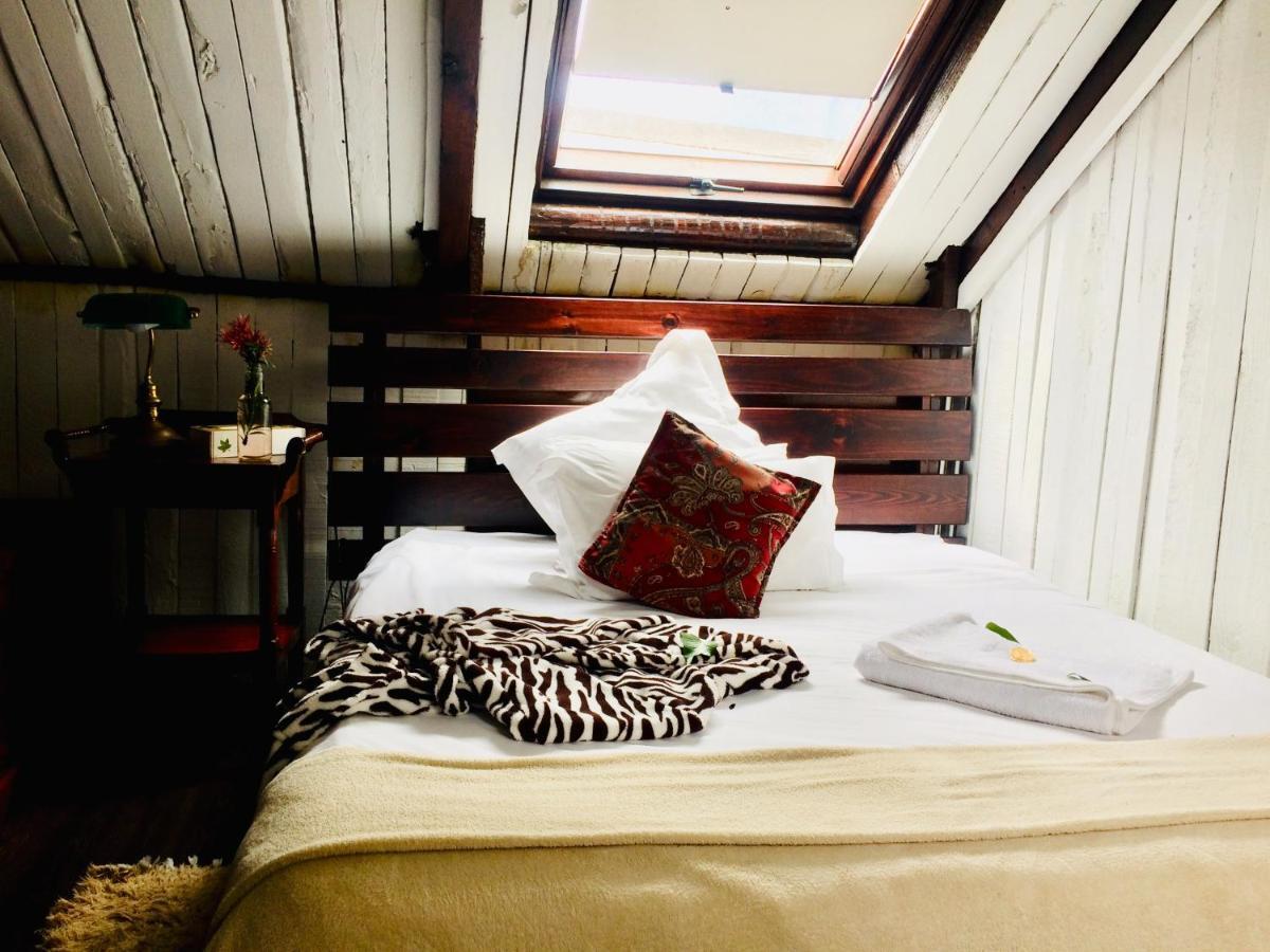 Harfield Guest Villa Cape Town Bagian luar foto