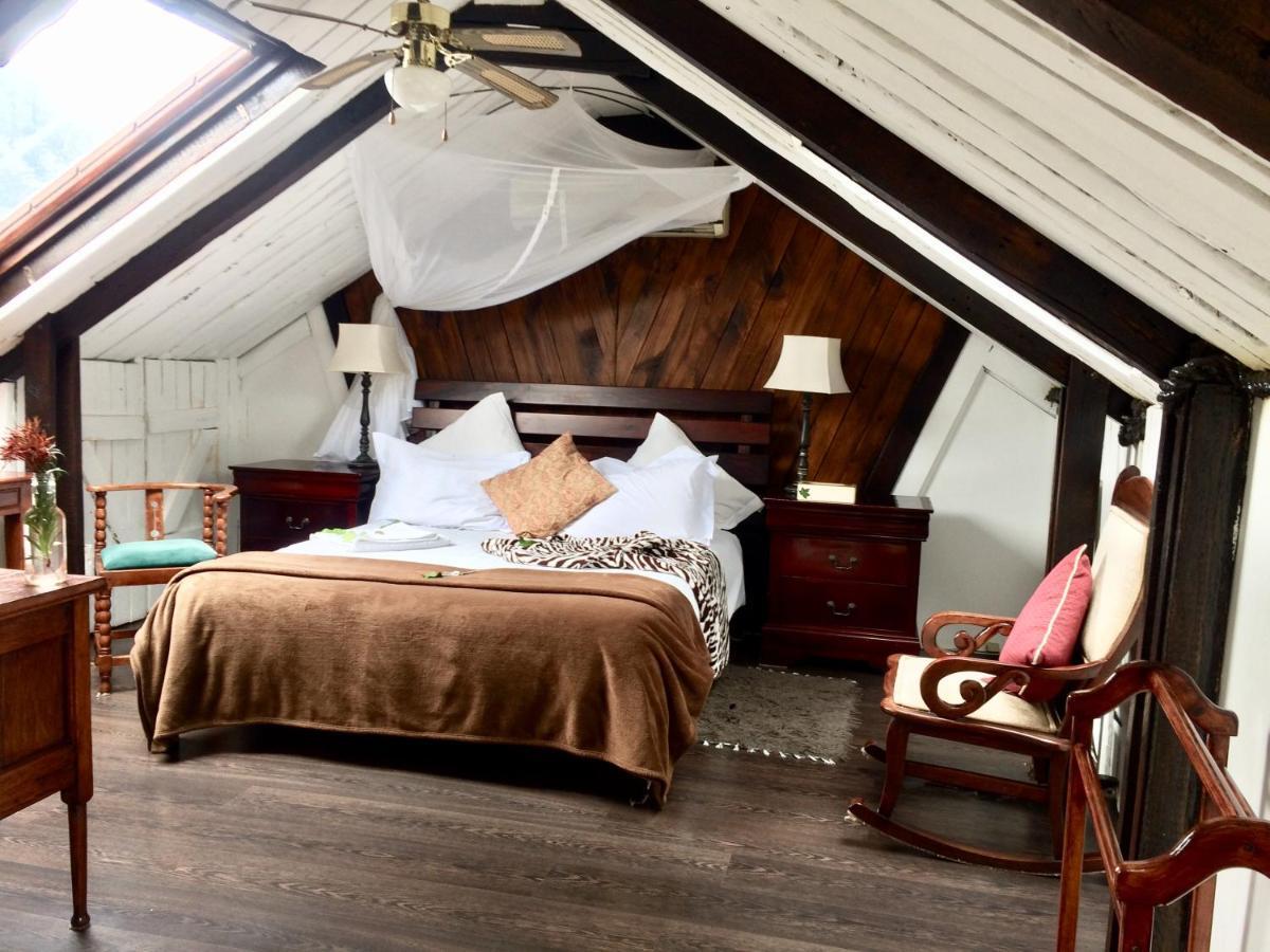 Harfield Guest Villa Cape Town Bagian luar foto